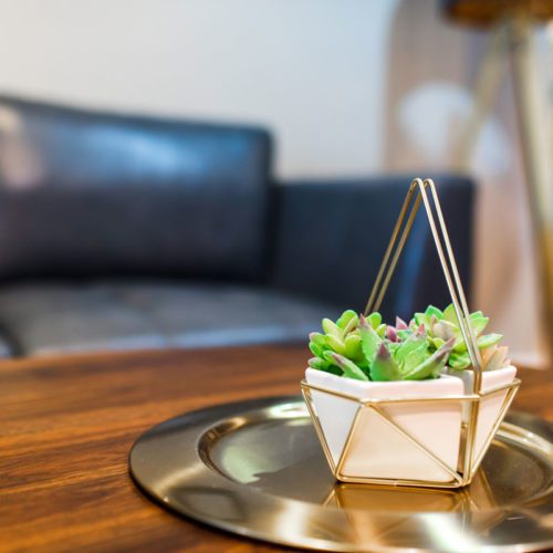 A small plant in a gold container on top of a table.